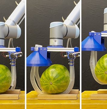 Vine-inspired robot gently lifts people and fragile objects with a soft, twisting grip